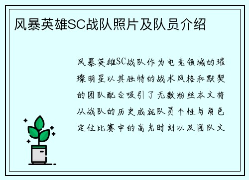 风暴英雄SC战队照片及队员介绍